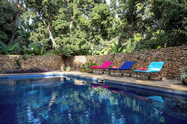 Piscine extérieure, chaises longues