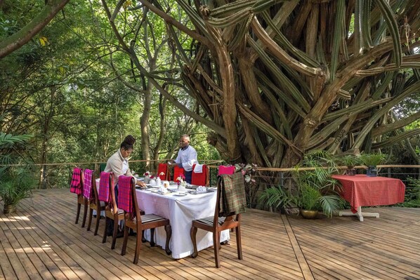 Área para eventos al aire libre