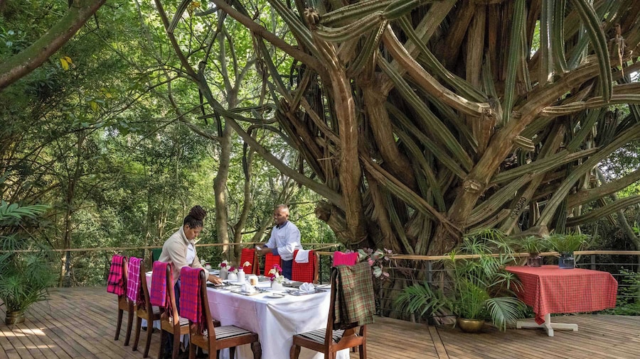 Mount Meru Game Lodge