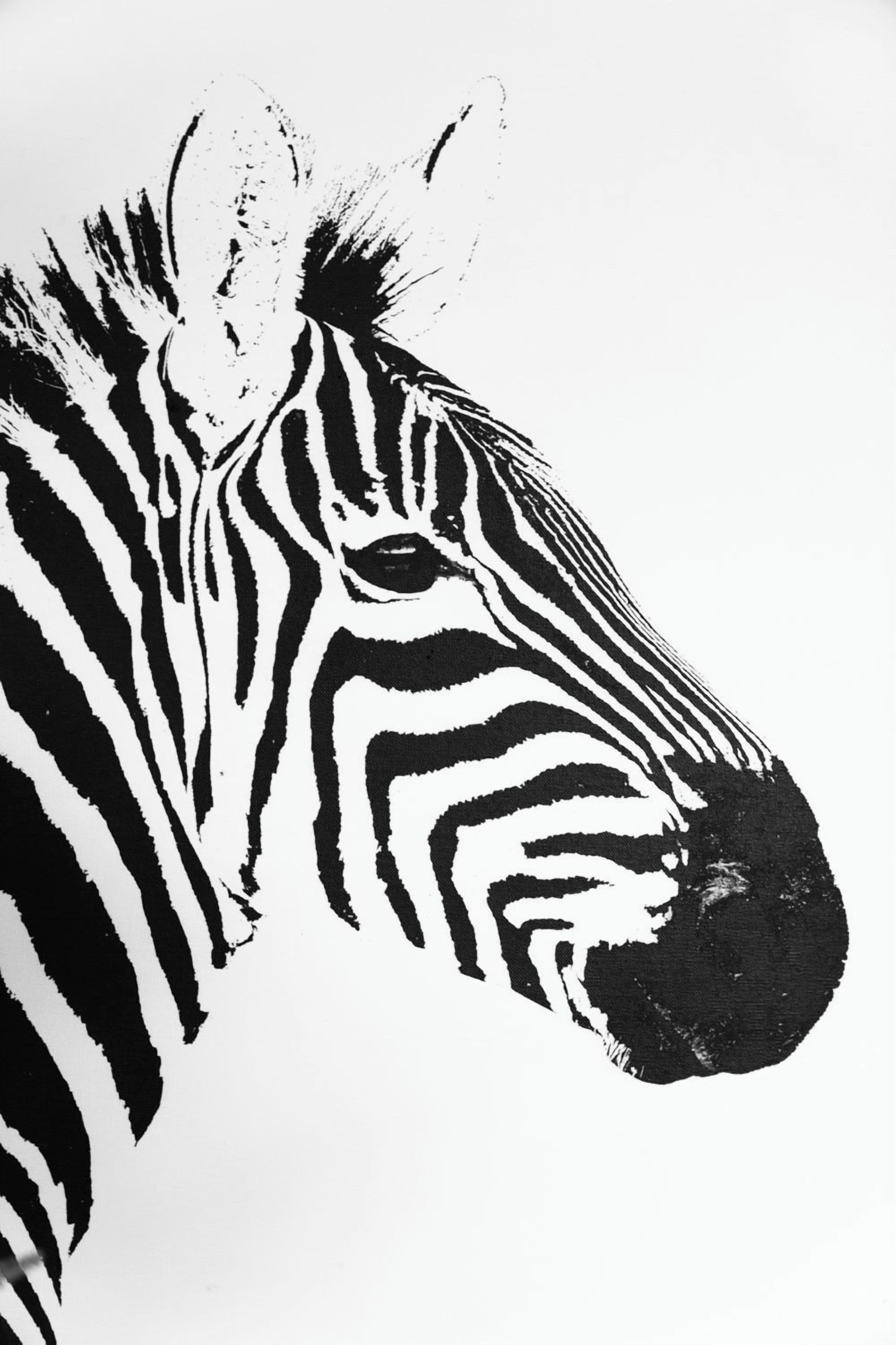 A zebra's head with distinct black and white stripes.
