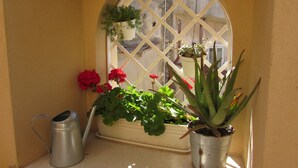 A window with a metal trellis, potted plants, and a metal watering can.