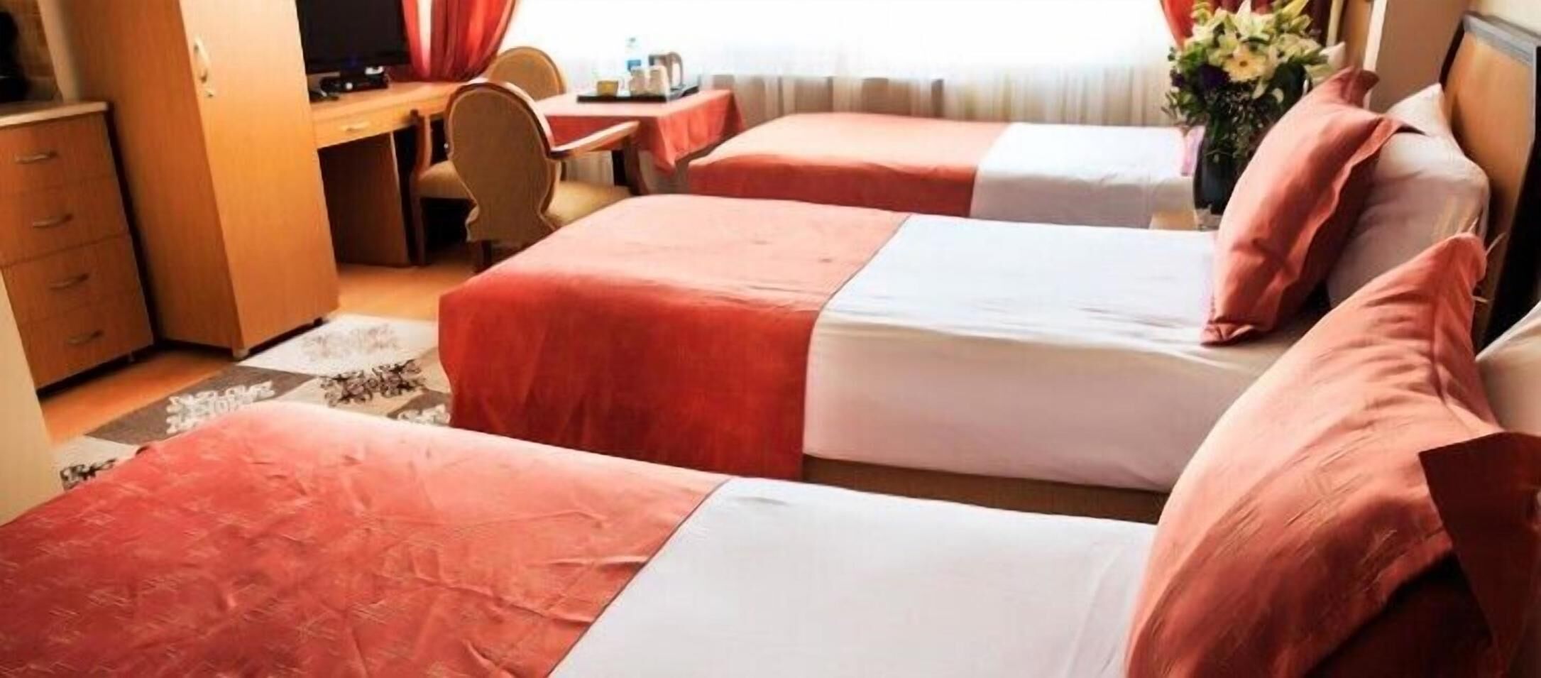 Minibar, in-room safe, desk, free cribs/infant beds