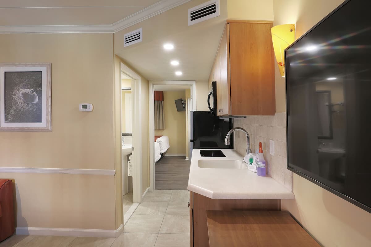 A modern kitchen with a built-in microwave, a large window, and a sink.