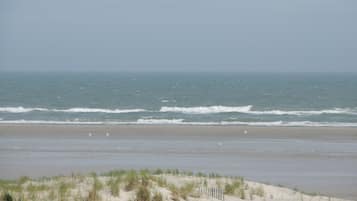 On the beach