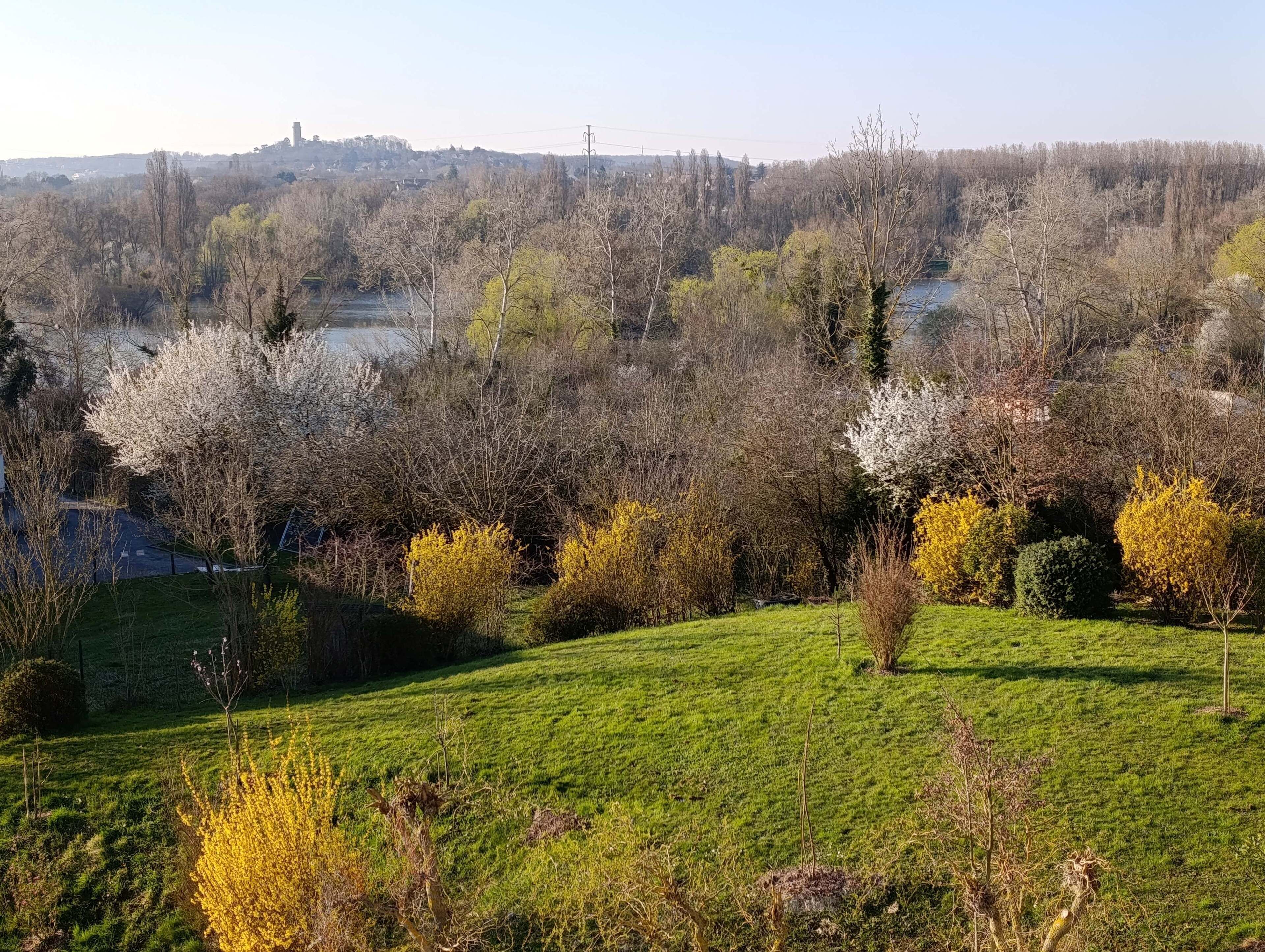 Vista desde la propiedad