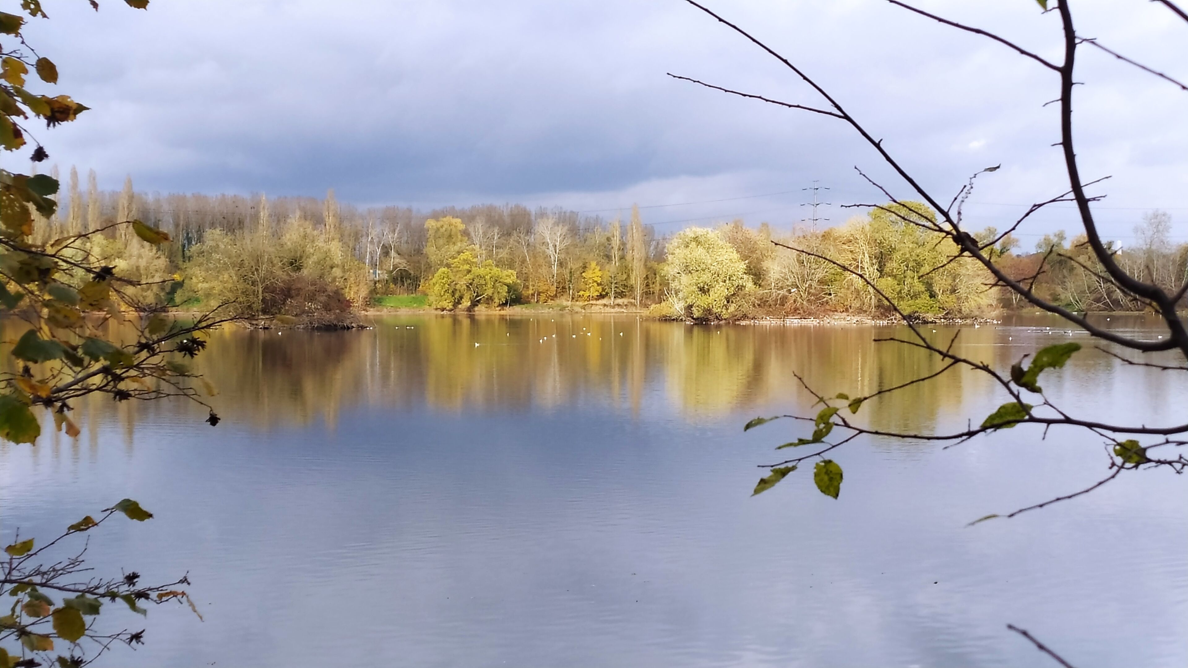 A calm lake with trees reflecting on the water, surrounded by a forest.