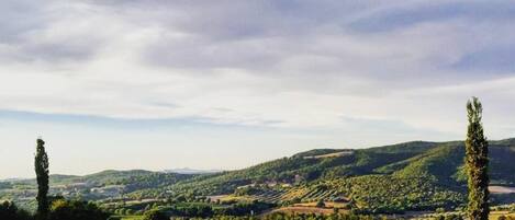 Seasonal outdoor pool, an infinity pool, pool umbrellas, sun loungers
