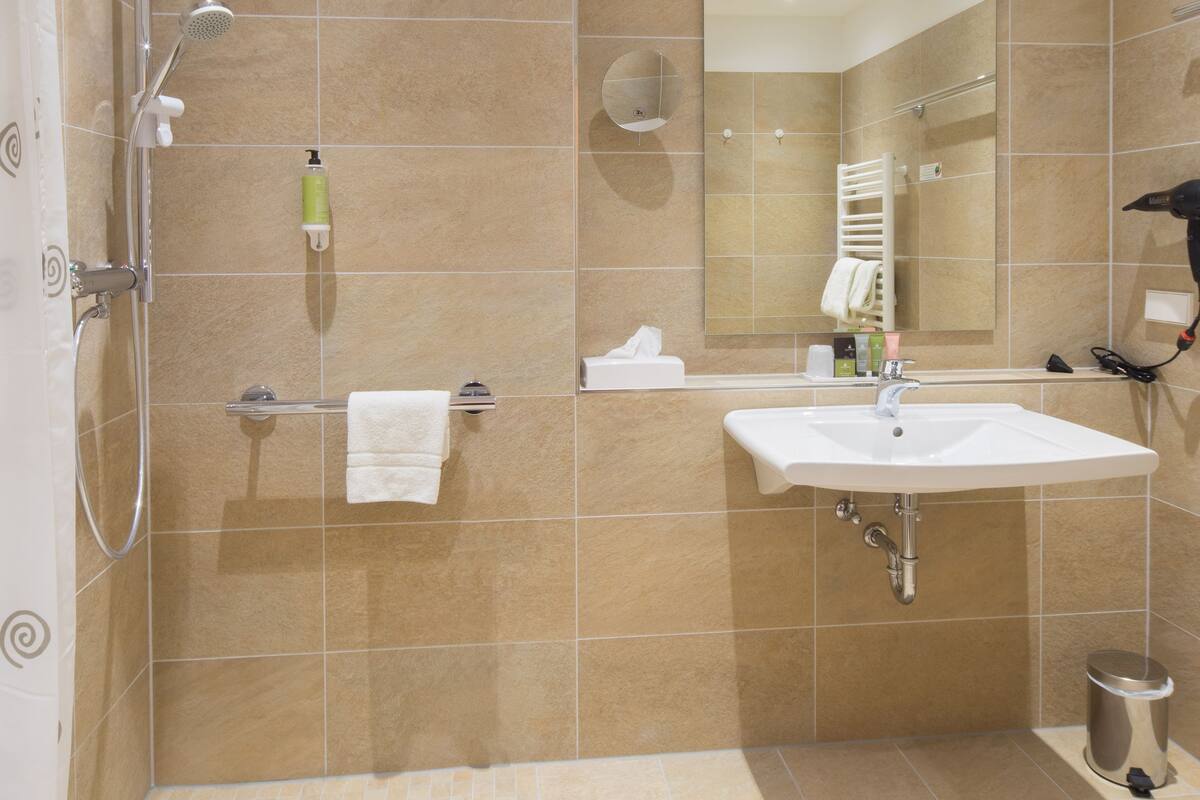 shower, free toiletries, hair dryer, towels