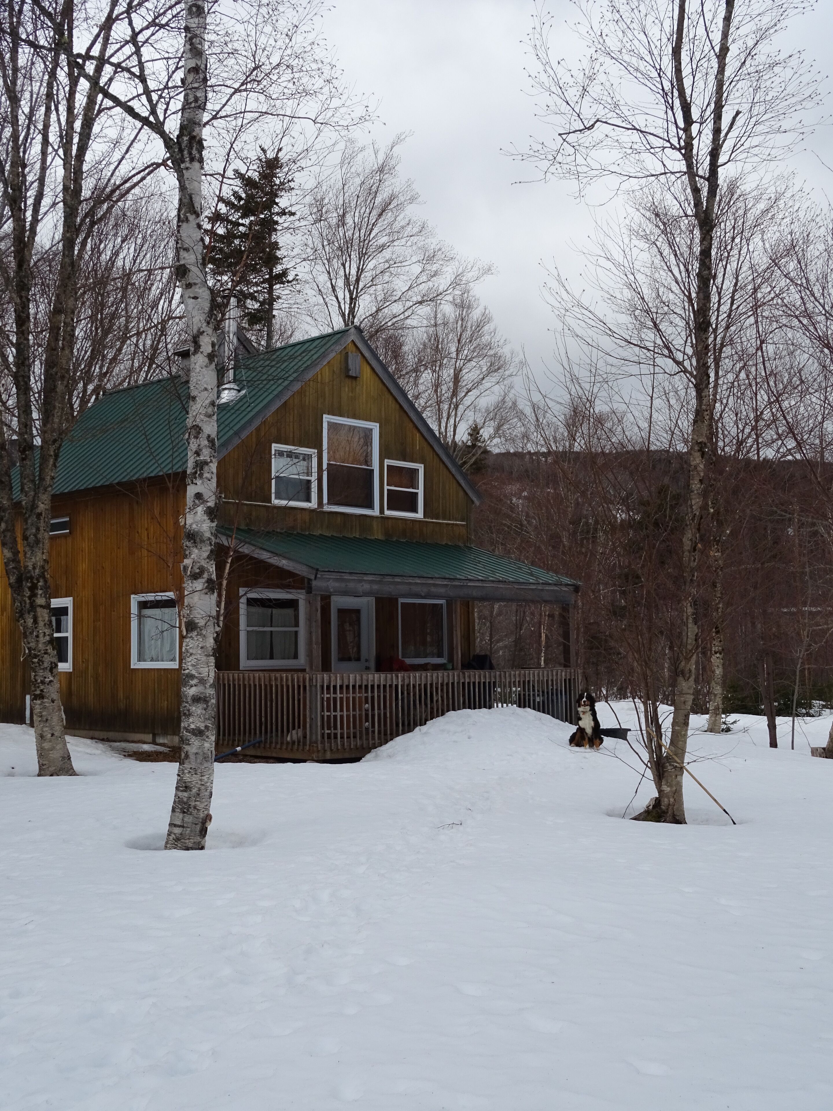 A wooden cabin with a green roof, surrounded by trees and covered in snow.