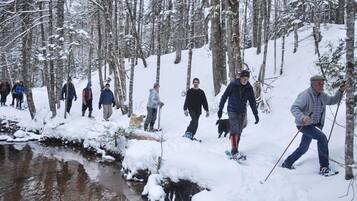 A group of people cross-country skiing in a snowy forest with a stream.