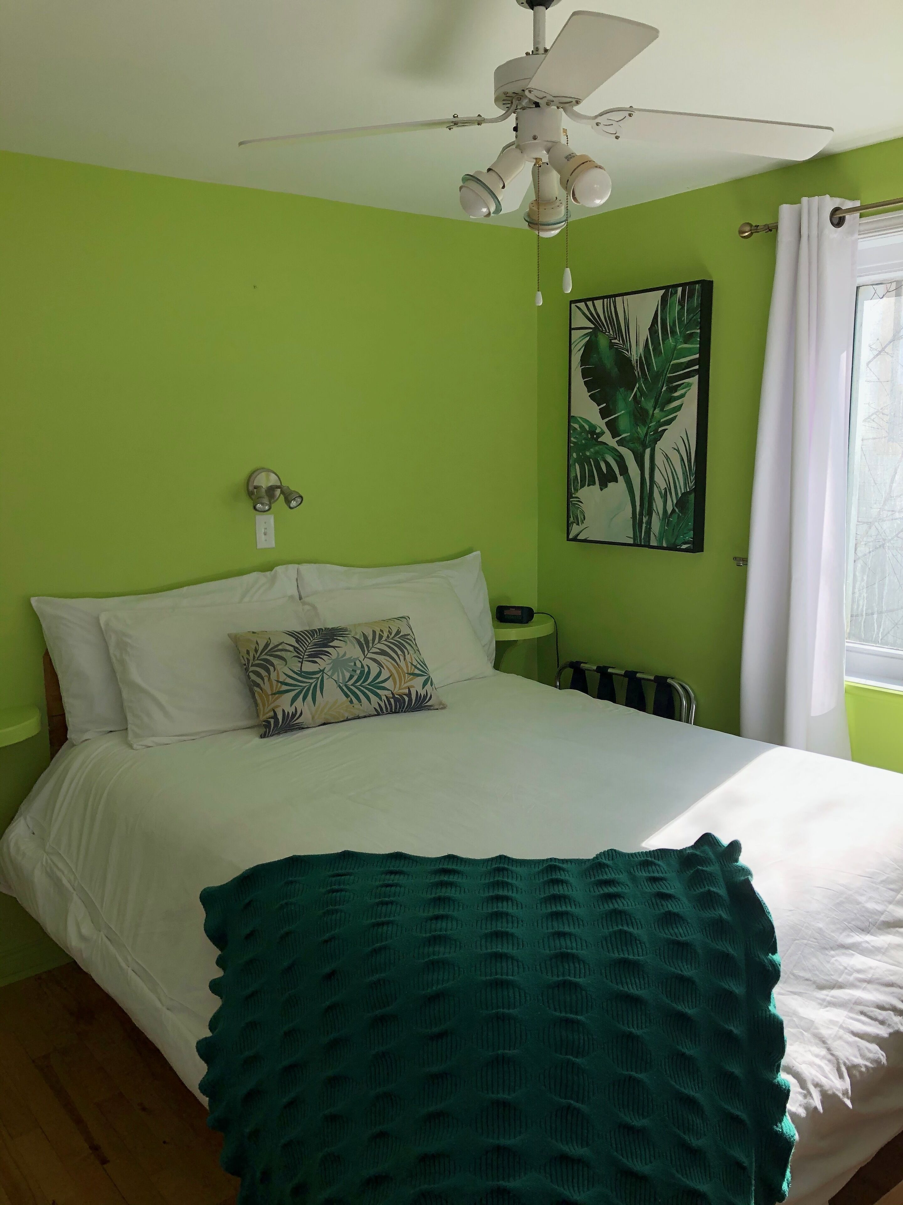 A bedroom with a bed, a ceiling fan, a green wall, a window with curtains, and a wall-mounted plant.