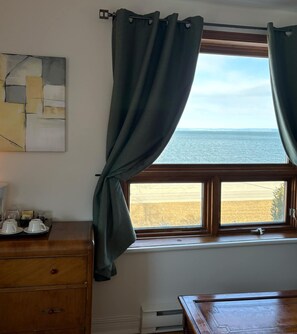 View from property - Les Pinsons des Rives (La Malbaie)