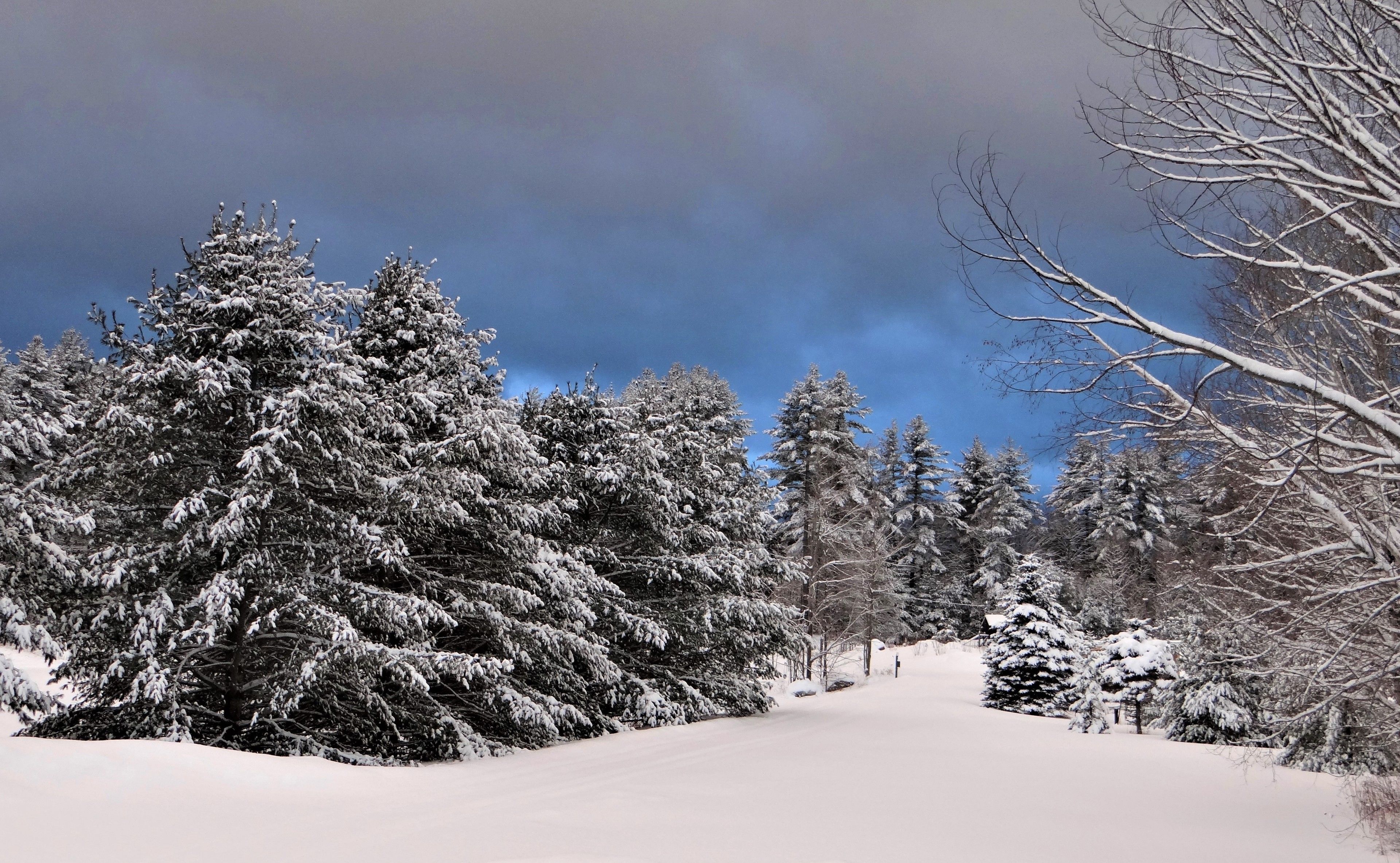 Vista frontal de la propiedad