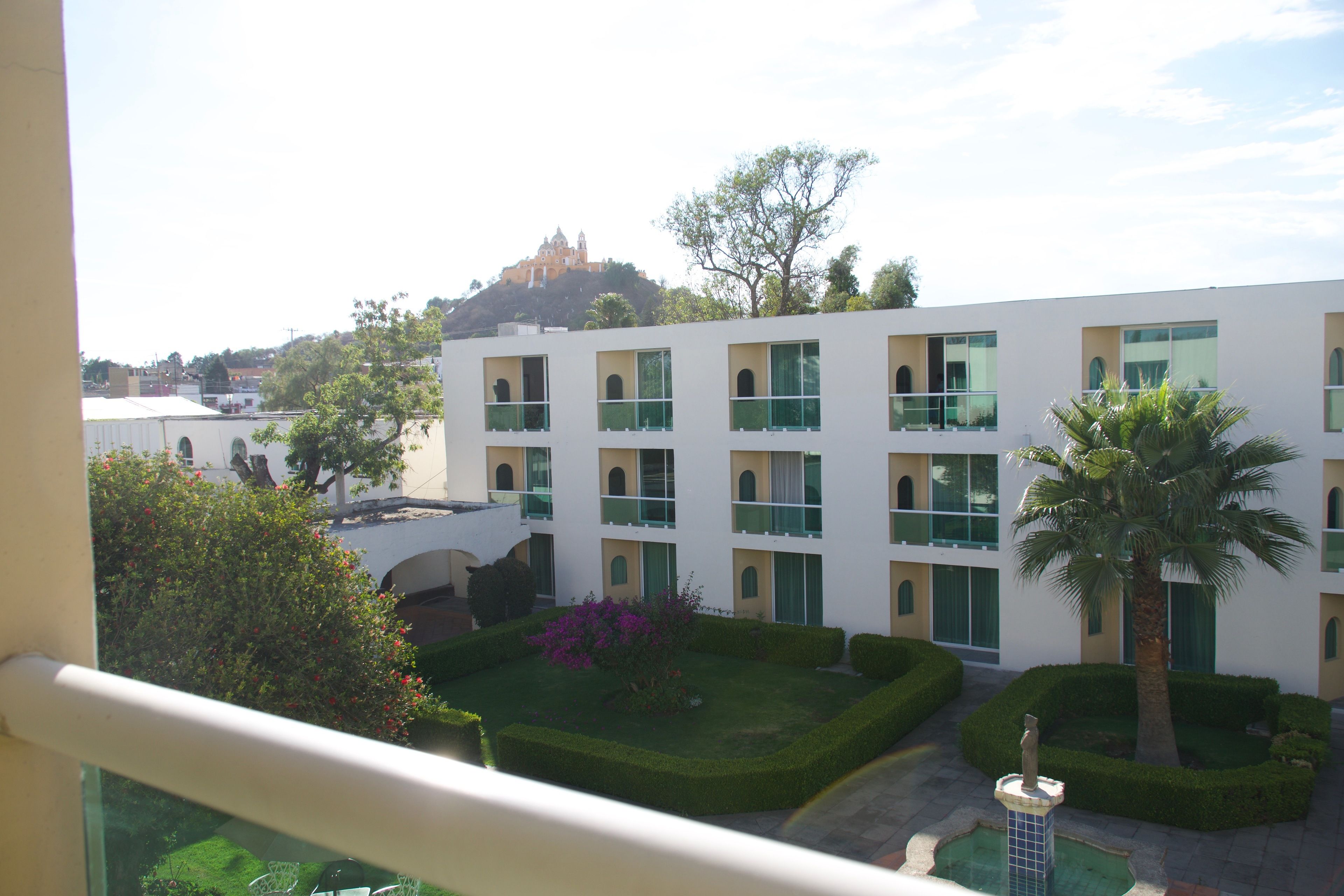 Un patio de hotel con setos cuidados, una palmera y una fuente.