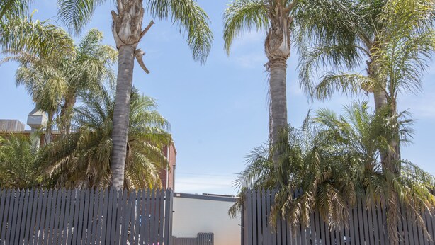 Una entrada cerrada con palmeras, un muro de ladrillo y un cielo despejado.