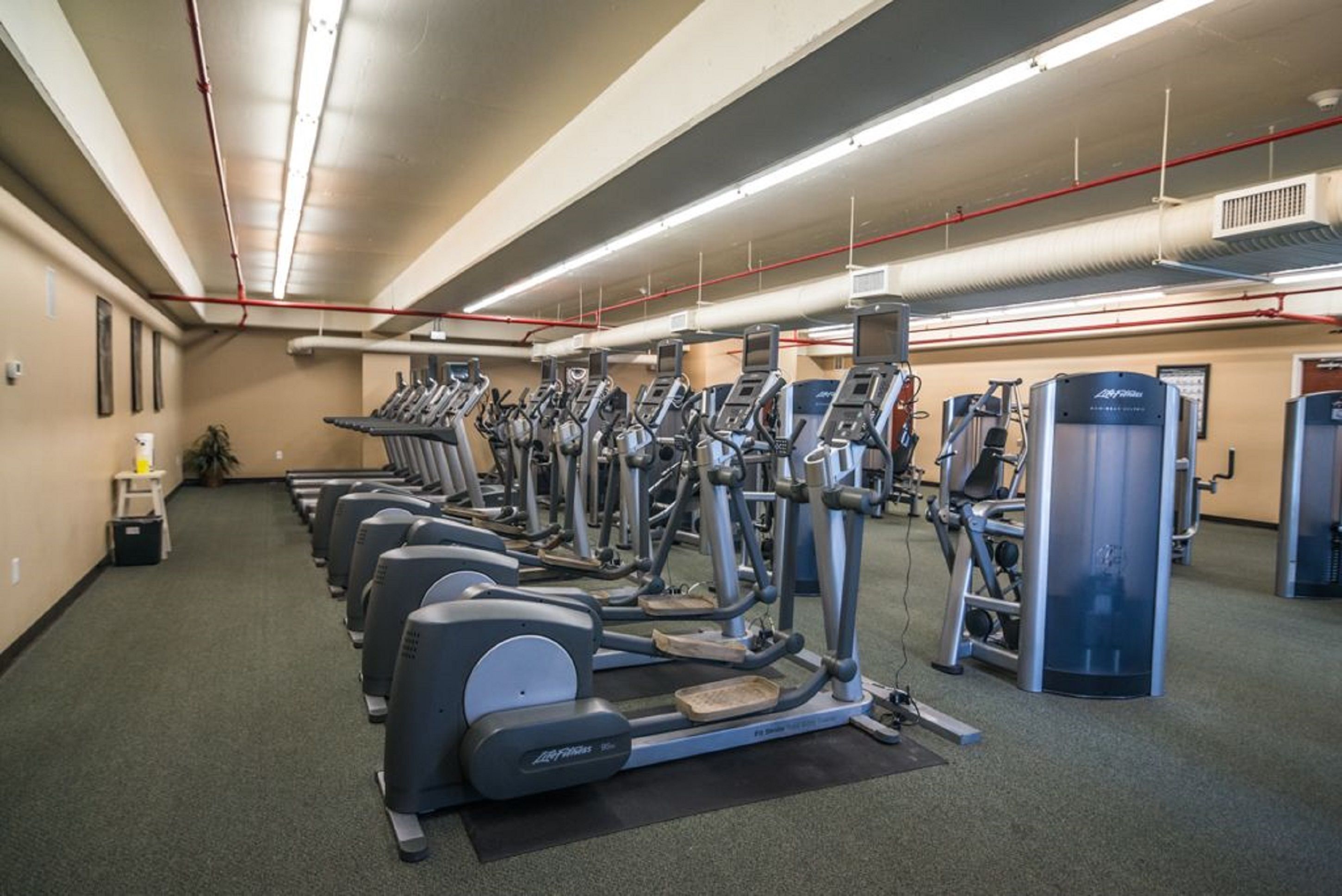Ein Fitnessstudio mit mehreren Laufbändern, Crosstrainern und Krafttrainingsgeräten.