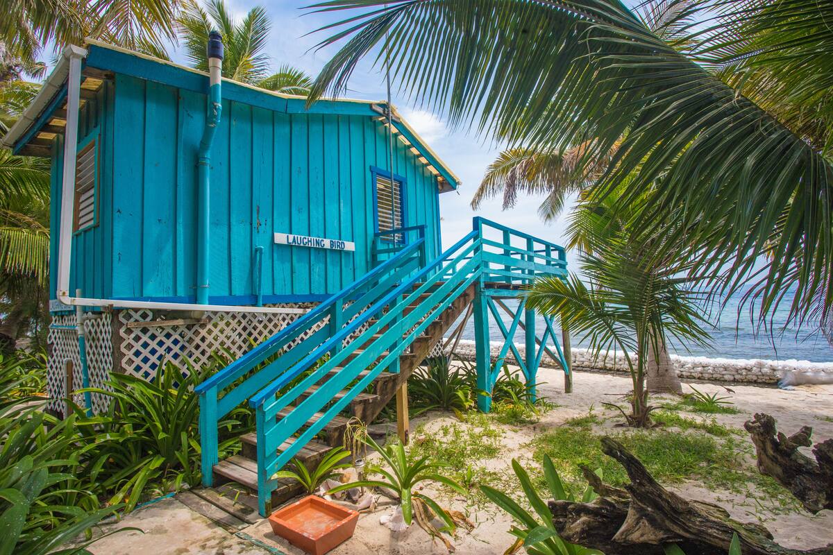 A turquoise building with a sign reading "LAUGHING BIRD" and a staircase leading to a deck.
