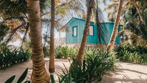 A blue building surrounded by palm trees and tropical plants. - Ranguana Caye Cabanas (Placencia)