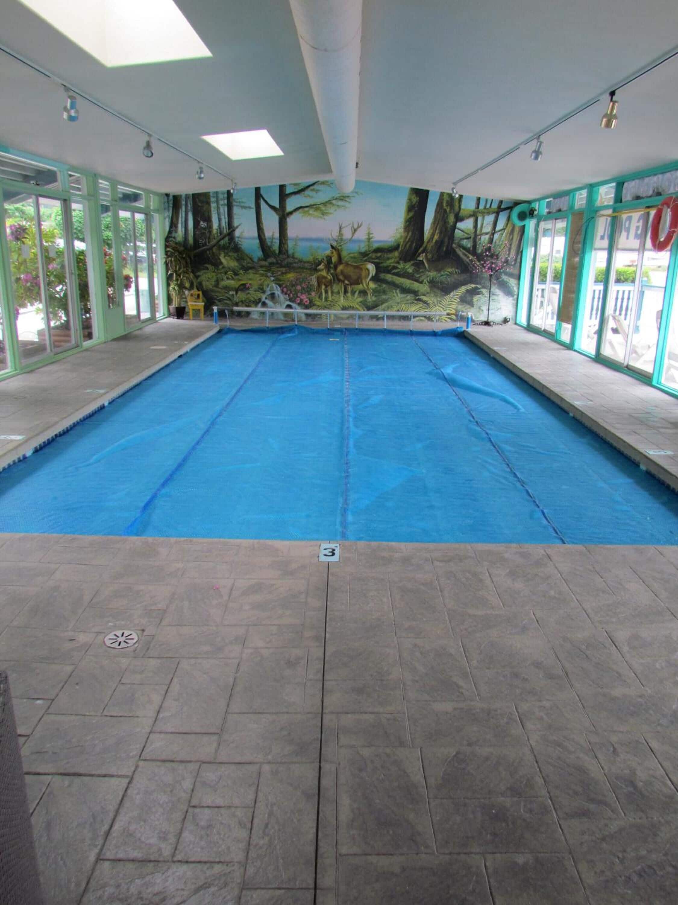 Una piscina interior con un mural de una escena de bosque en la pared.