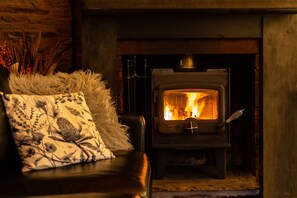 Una sala de estar acogedora con chimenea, un sofá mullido y una planta decorativa.