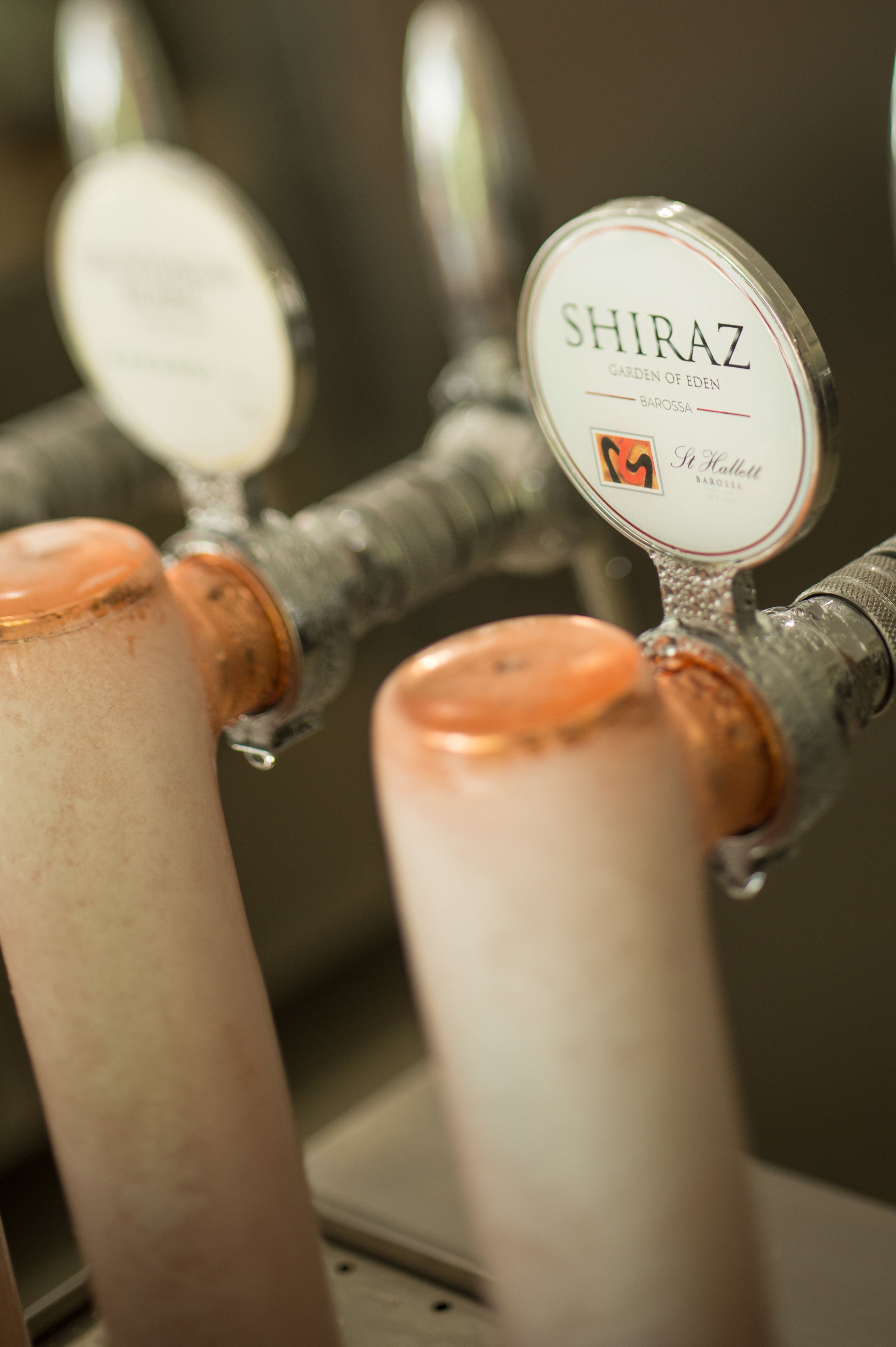 A barista preparing coffee with a label reading "SHIRAZ GARDEN OF EDEN BAROSSA."
