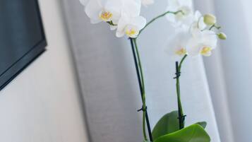 A white orchid in a white pot on a wooden table.