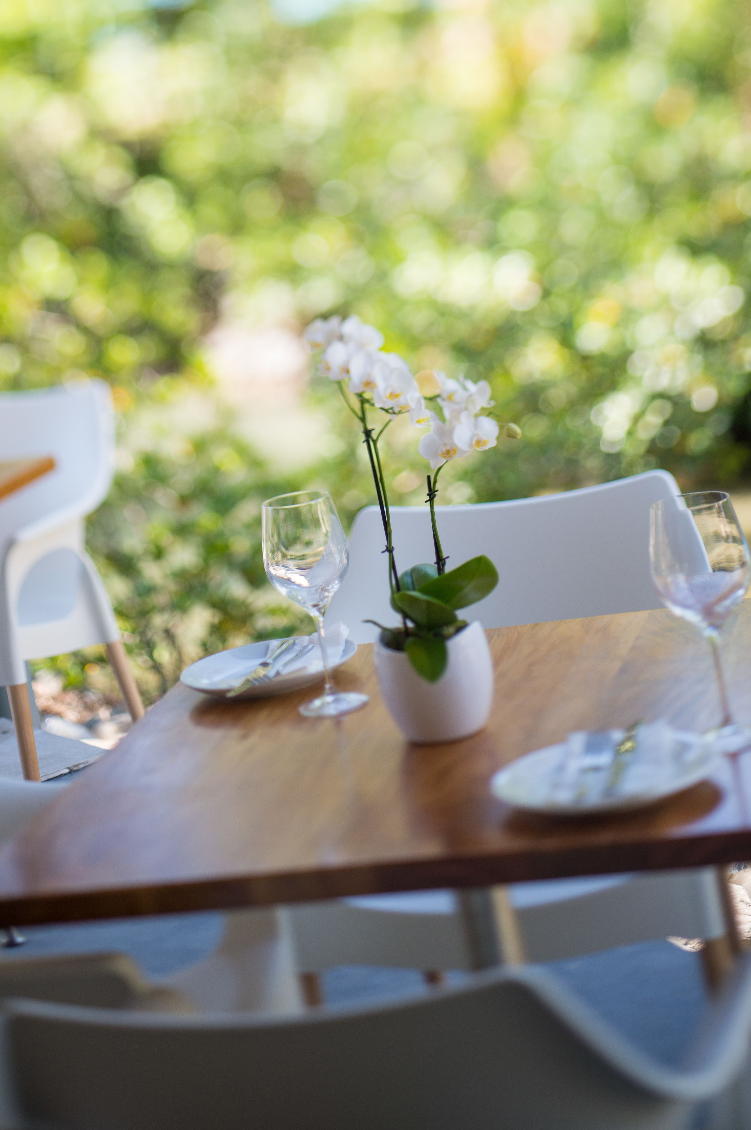 A dining table with white chairs, a potted orchid, and empty wine glasses.