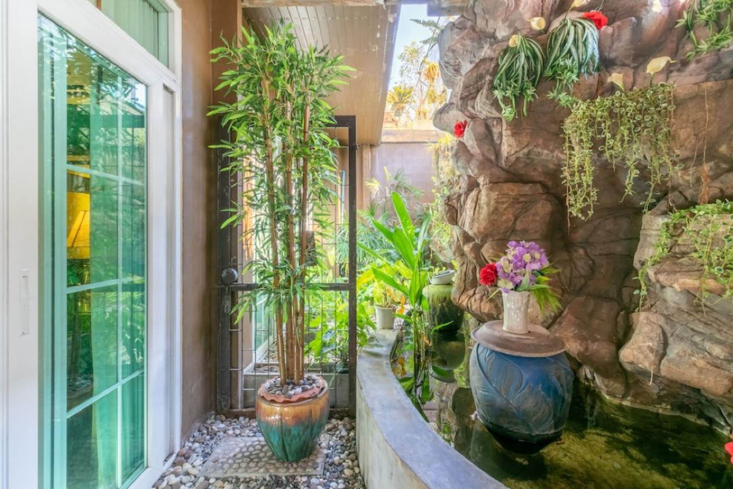 deluxe room | view from room