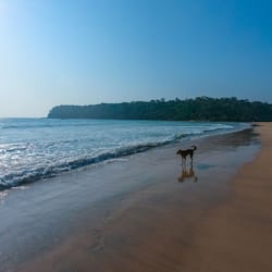 Na praia, areia branca, espreguiçadeiras, guarda-sóis
