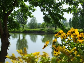 Pemandangan dari properti