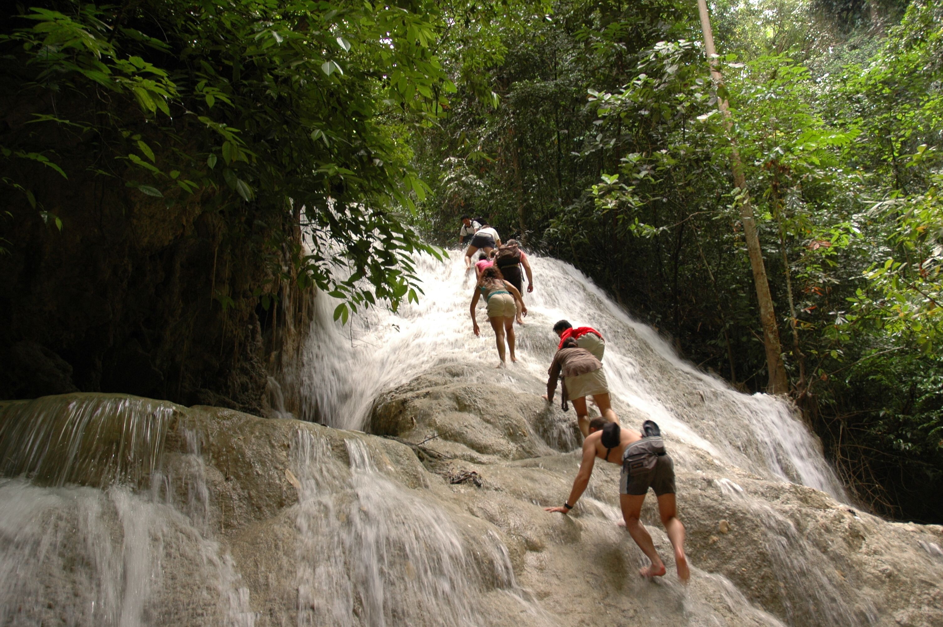A group of people hiking up a waterfall in a forested area.