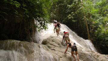 A group of people hiking up a waterfall in a forested area.