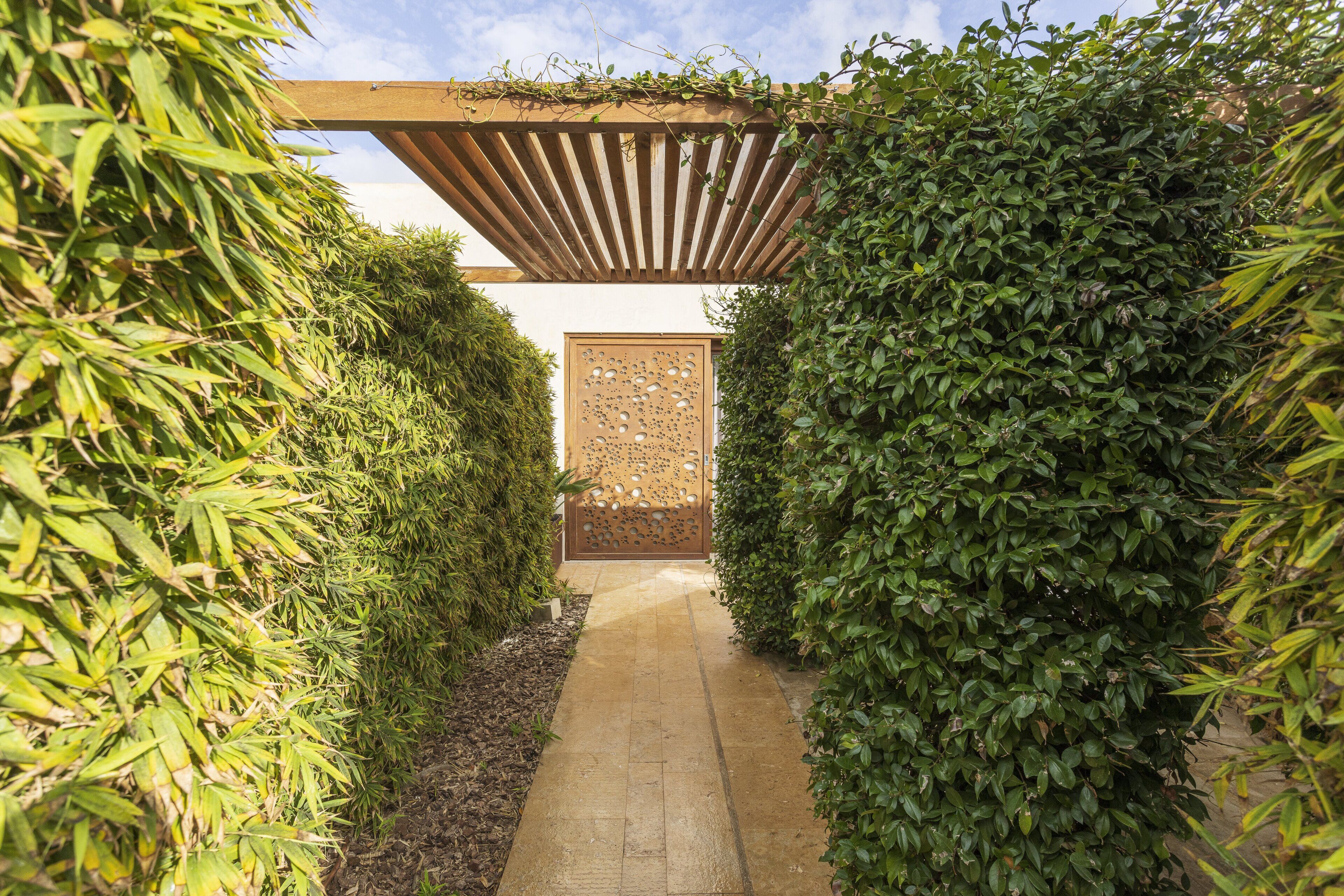 Habitación Deluxe doble | Terraza o patio