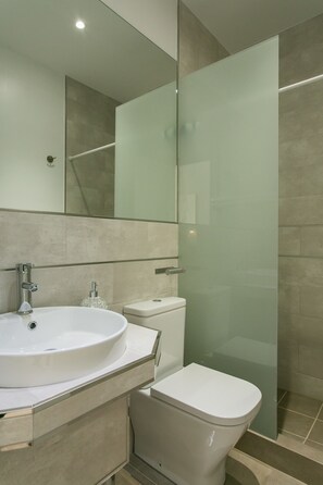 Regadera, amenidades de baño gratuitas, secadora de cabello, toallas 