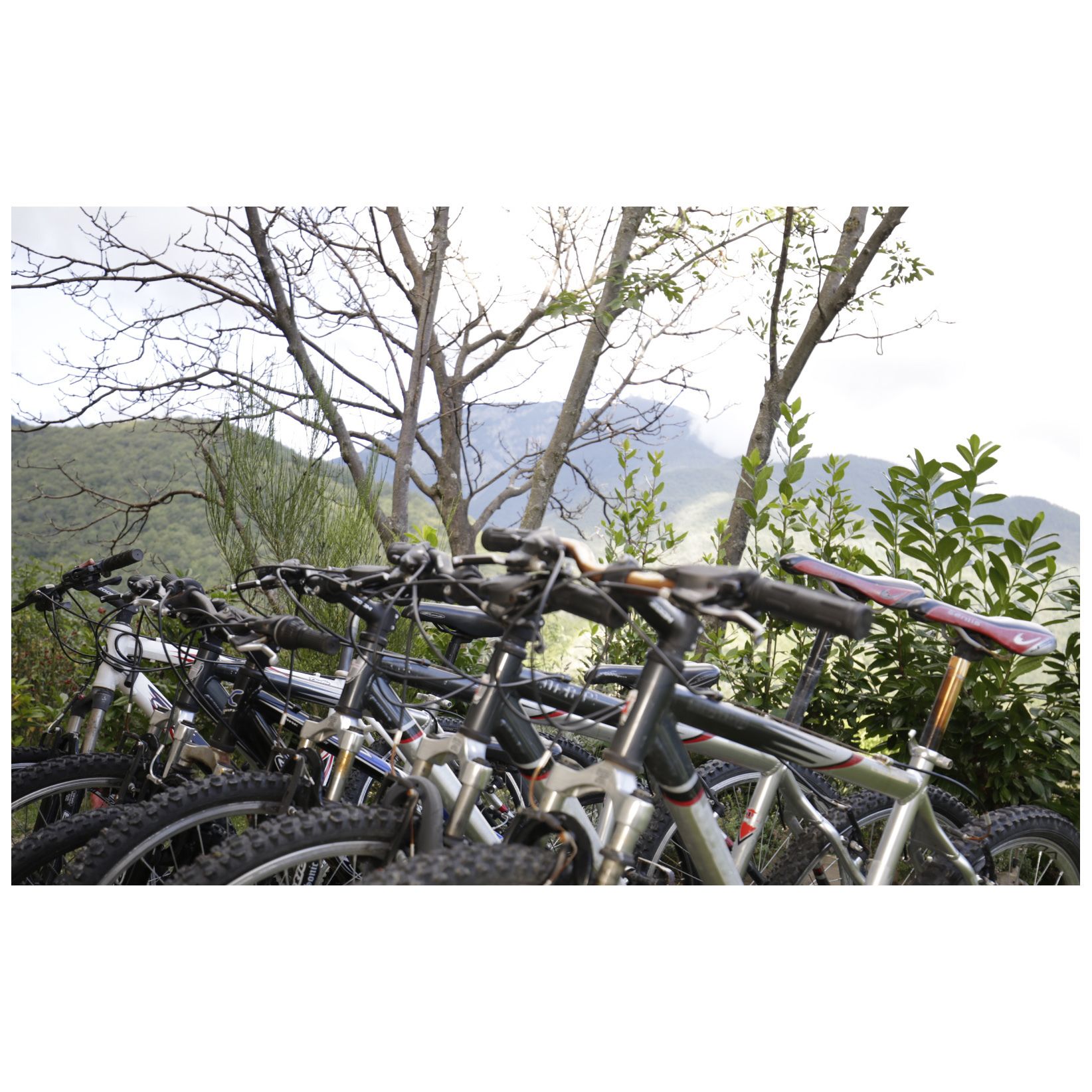 Une rangée de vélos est stationnée à l’extérieur, avec une chaîne de montagnes en arrière-plan.