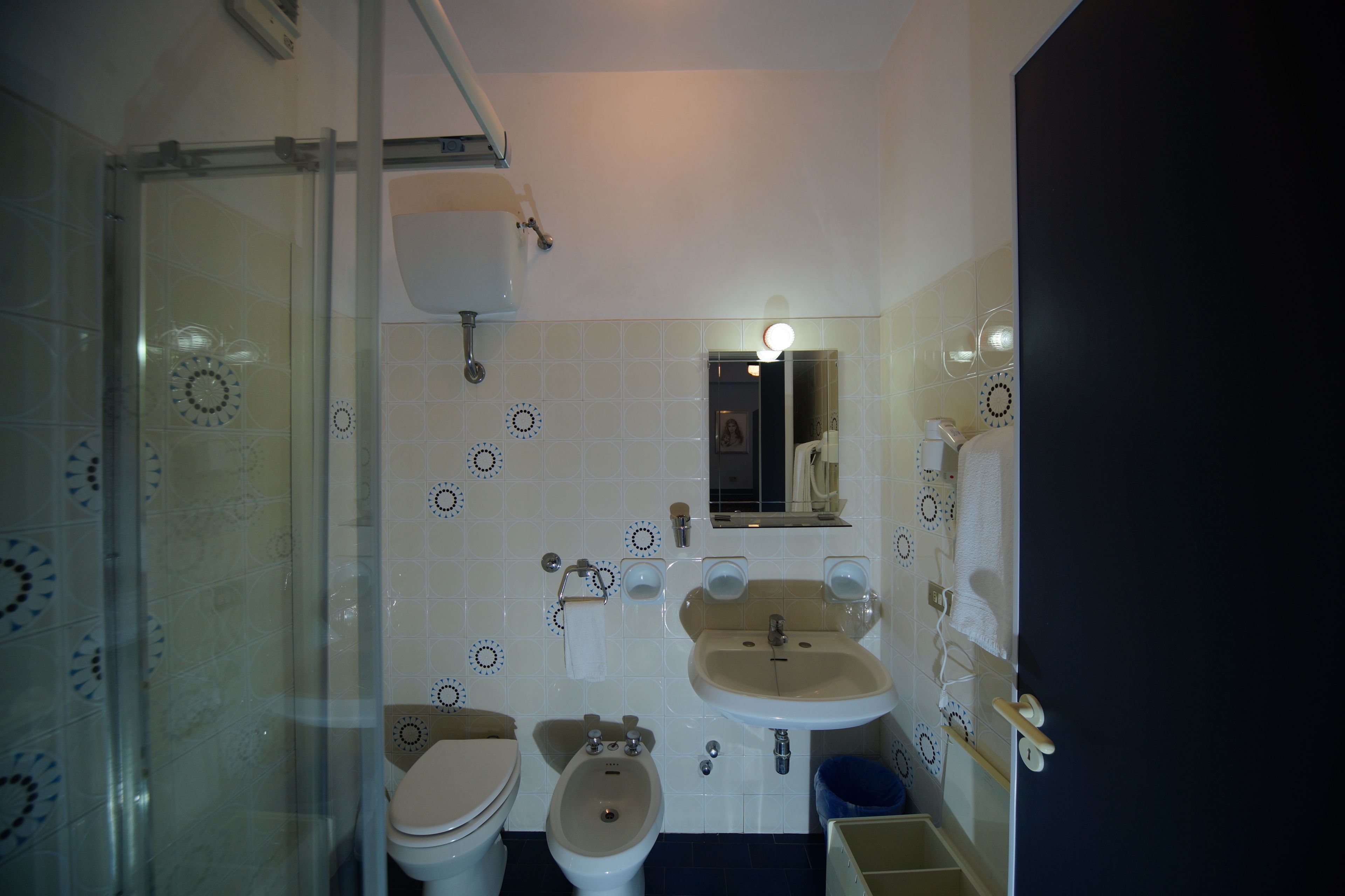 free toiletries, hair dryer, bidet, towels