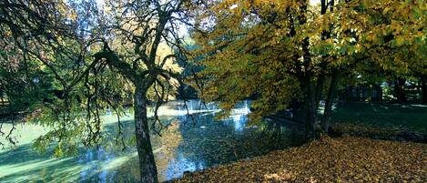 A park with a pond, trees, and a grassy area.