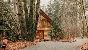 A rustic cabin with a wooden exterior, surrounded by a forest. - 21gs - Log  - Pets Ok - Sleeps 6 3 Bedroom Home by RedAwning (Deming)
