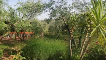 Área de parrillas y picnic