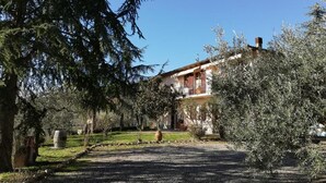 A rustic villa with a gravel driveway, surrounded by olive trees and a clear blue sky. - Agriturismo Crocino in Chianti (Gaiole in Chianti)
