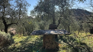A stone bench with a rustic design, surrounded by lush greenery and trees. - Agriturismo Crocino in Chianti (Gaiole in Chianti)