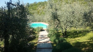 A pathway leading to a swimming pool surrounded by dense greenery and trees. - Agriturismo Crocino in Chianti (Gaiole in Chianti)