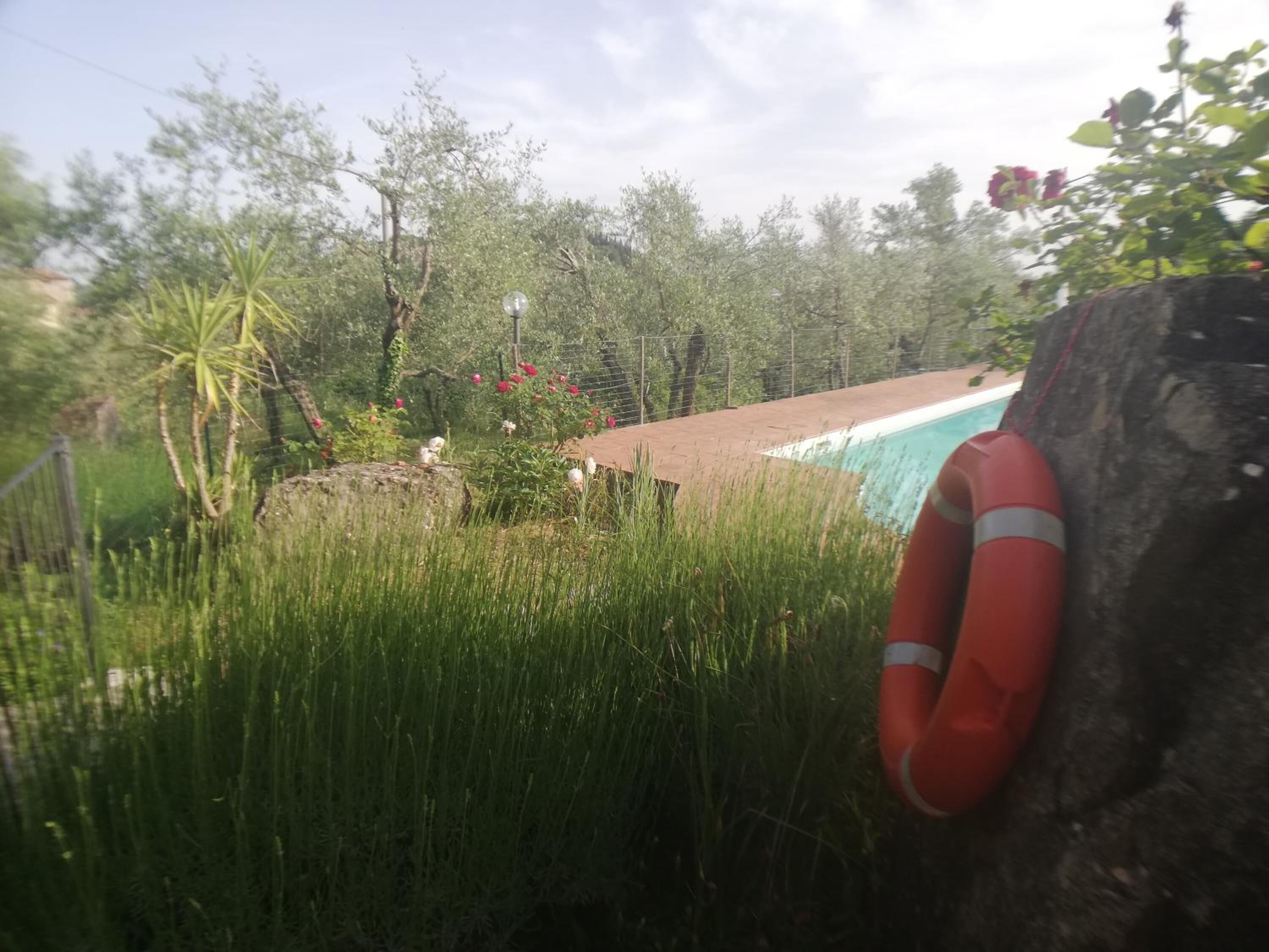 A poolside area with a lifebuoy, surrounded by lush greenery and trees.