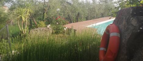A poolside area with a lifebuoy, surrounded by lush greenery and trees.