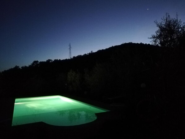 Outdoor pool, pool loungers