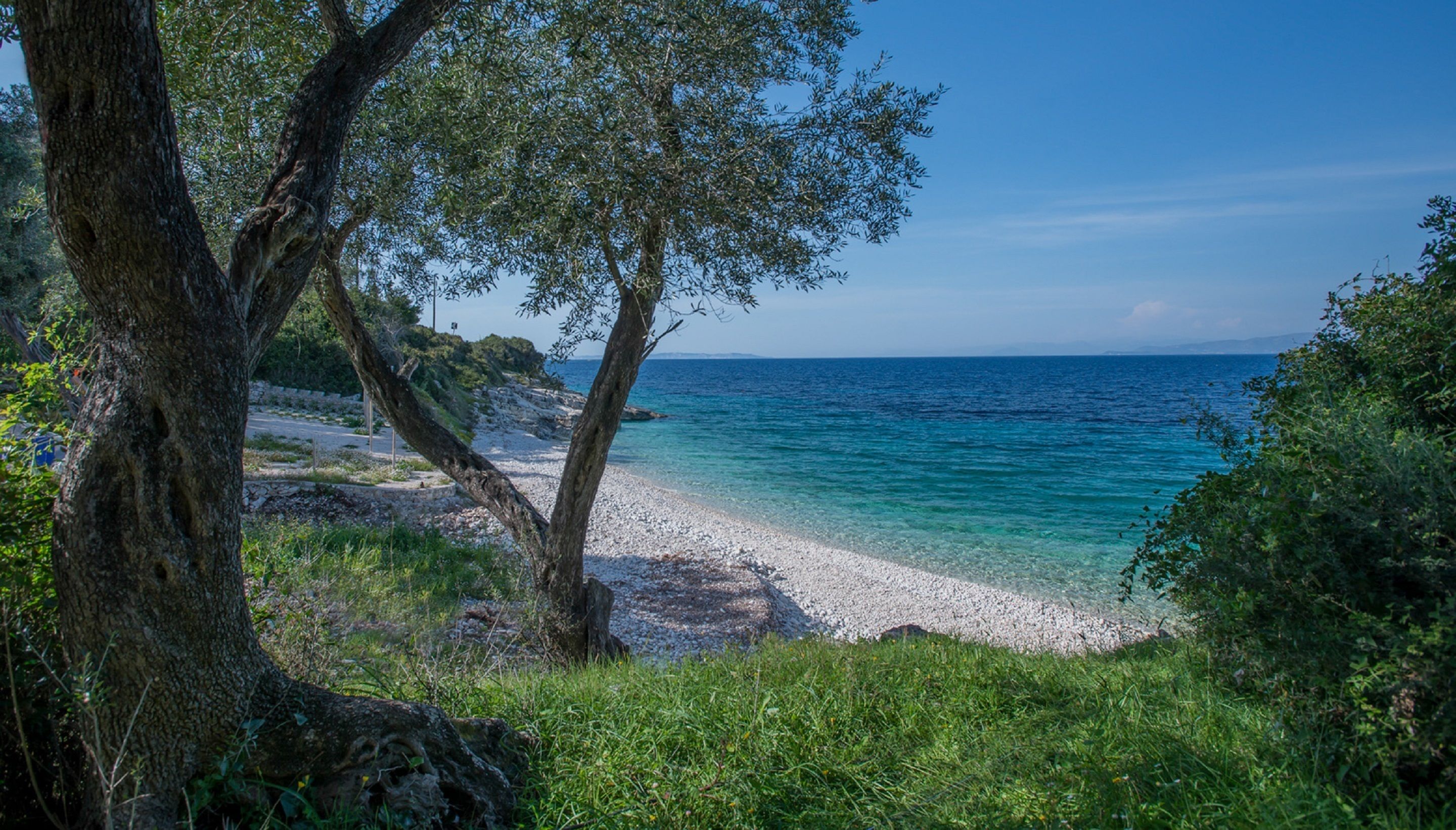 Una playa con aguas turquesas cristalinas, orilla pedregosa y abundante vegetación.