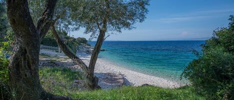 Una playa con aguas turquesas cristalinas, orilla pedregosa y abundante vegetación.