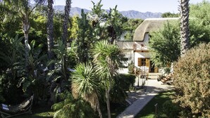 A house surrounded by lush greenery, with a clear view of mountains in the background.