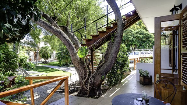 A modern outdoor area with a wooden staircase, a large tree, and a view of a street with parked vehicles.