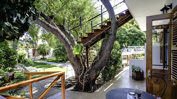 Vista desde la habitación